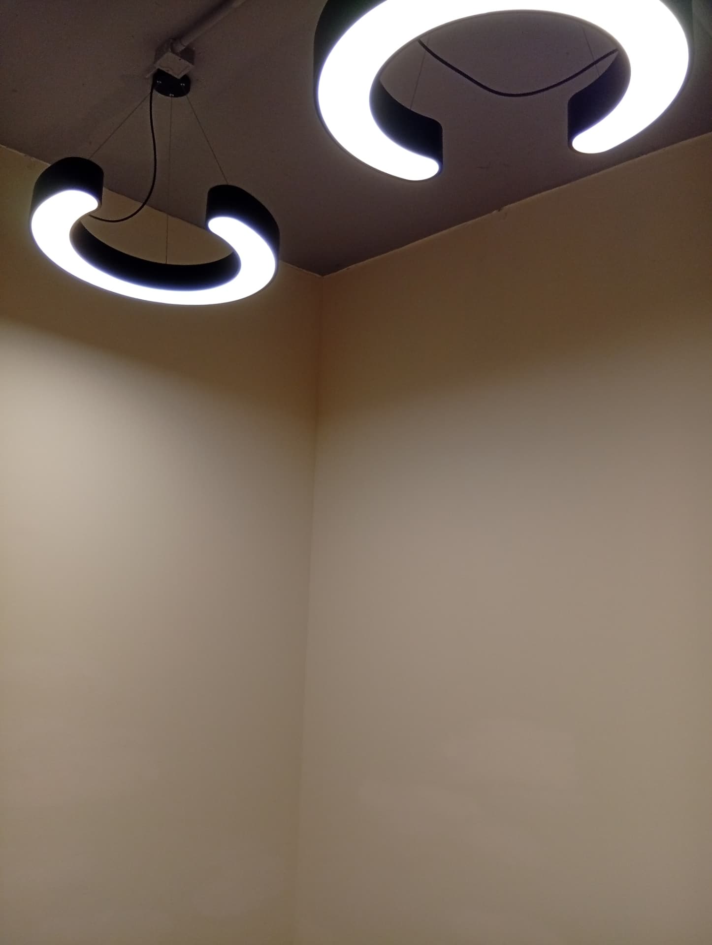 Season Place 環形吊燈 Ring pendant lights